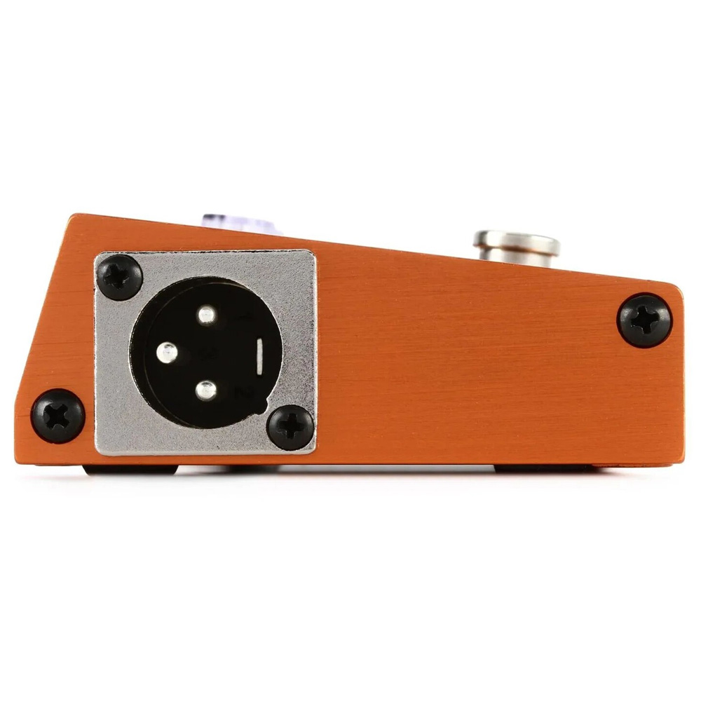 Процессор эффектов Tech 21 Acoustic Fly Rig
