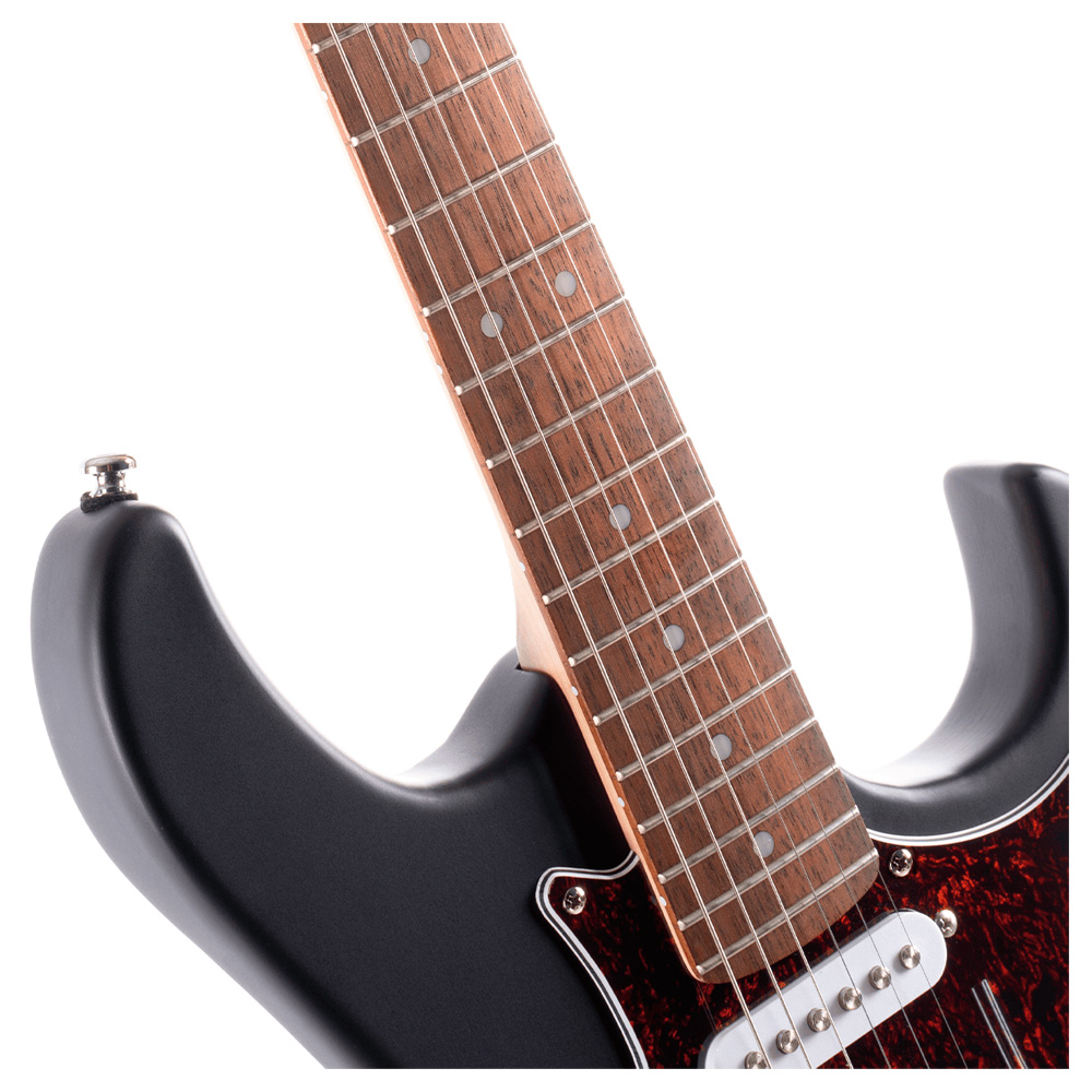 Электрогитара Cort G110 Open Pore Black