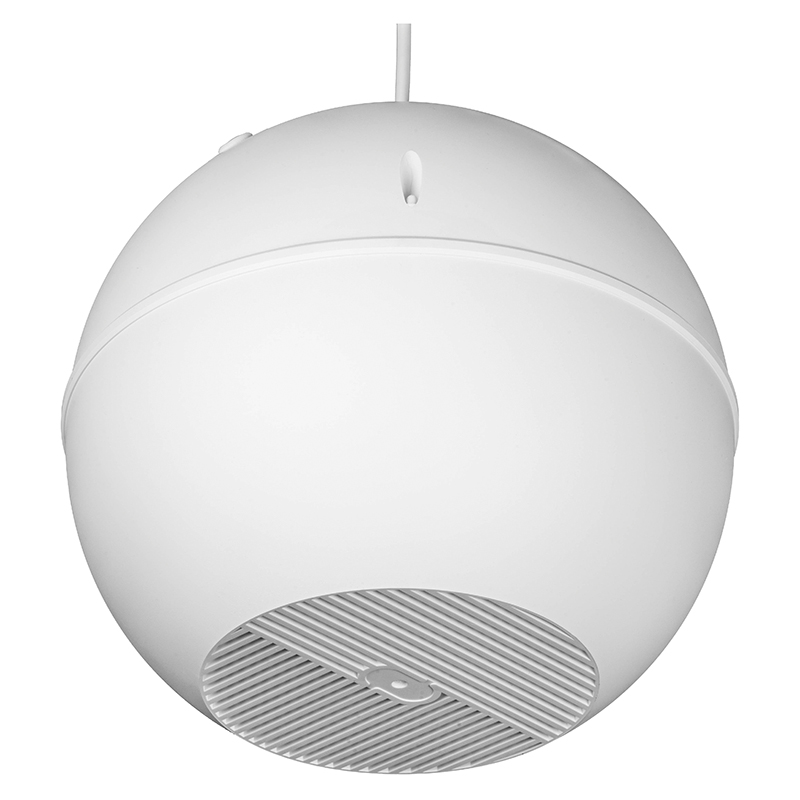 Подвесной громкоговоритель Apart EN-SPH6T20-W