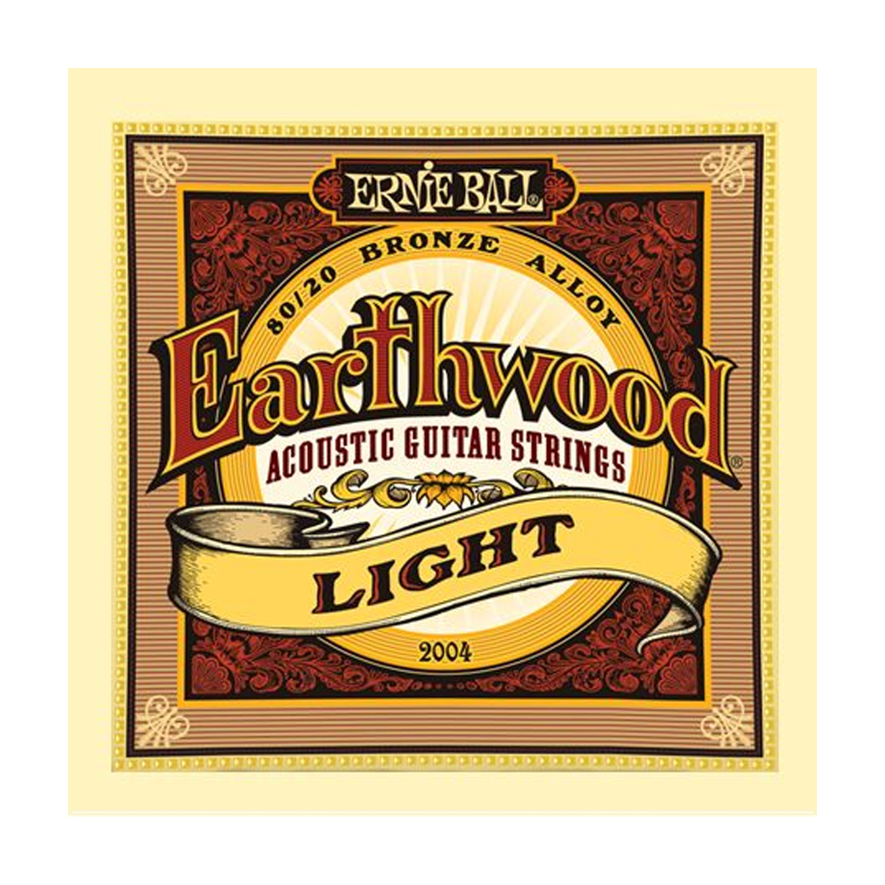 Струны для акустической гитары Ernie Ball Earthwood 80/20 P02004