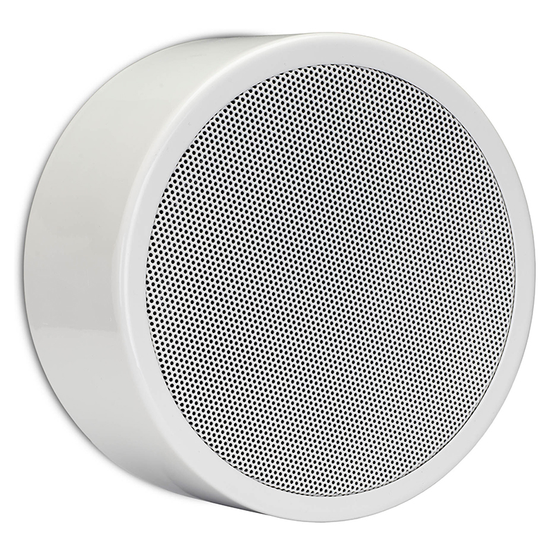 Настенный громкоговоритель Apart EN-SM6T10-W